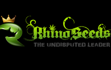 Rhinaseeds